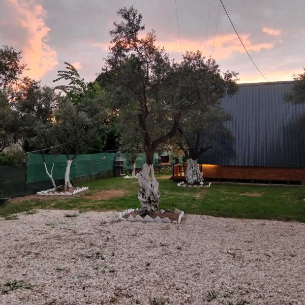 fisktikli-bungalov (4)